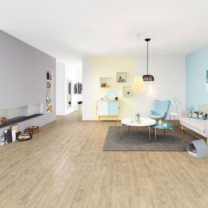 Ein helles Wohnzimmer mit weißen Wänden und Designboden